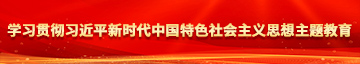 说中文的黄色片黄色一级片大鸡巴学习贯彻习近平新时代中国特色社会主义思想主题教育